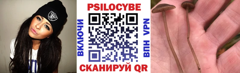 Галлюциногенные грибы Psilocybine cubensis  Сальск 
