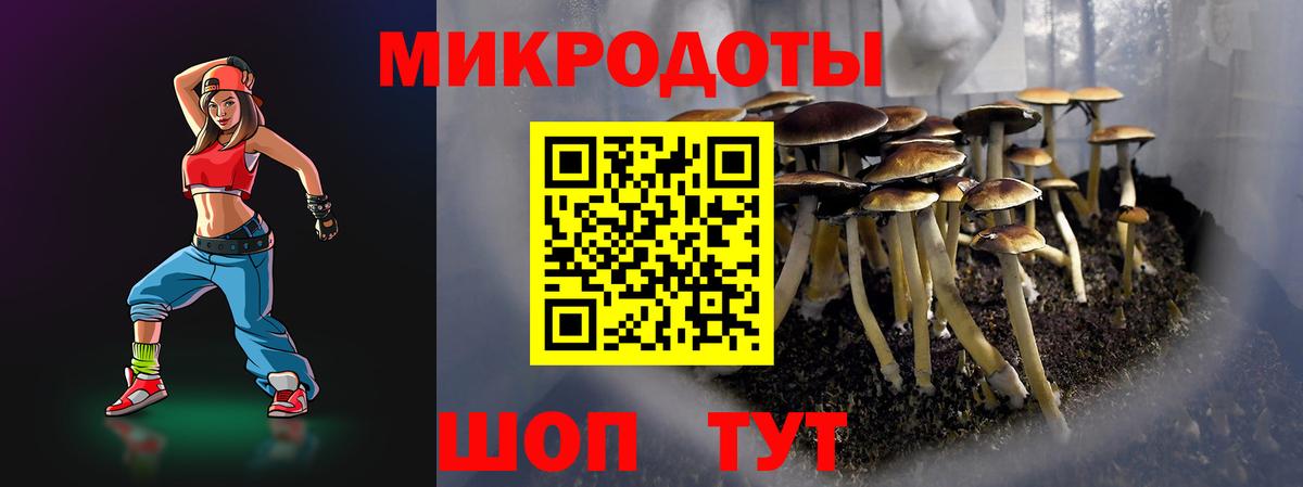 Галлюциногенные грибы ЛСД Сальск