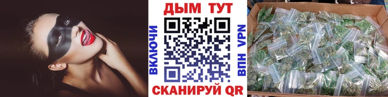 закладки  Сальск  Канабис White Widow 
