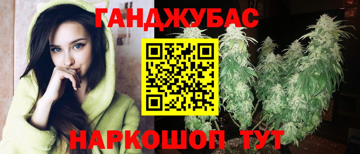 Бошки Шишки ГИДРОПОН  Каннабис конопля  Сальск  Вход с VPN 